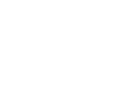 CMA CGM white logo