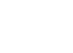 Emirates white logo